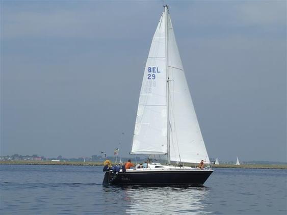 Westerly Gk29